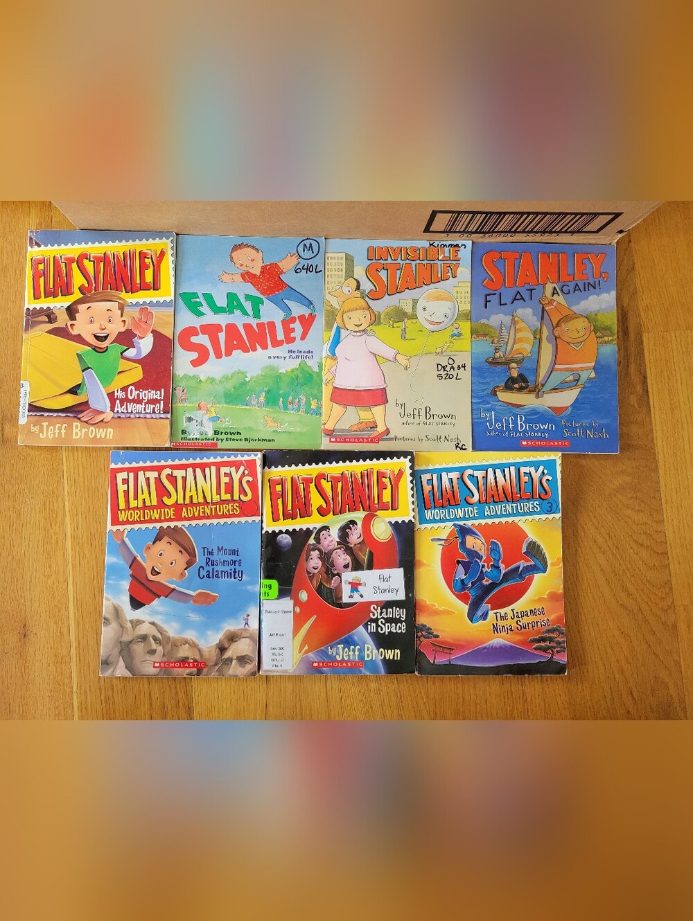 Flat Stanley chapter book bundle